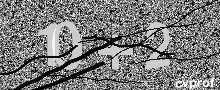 Captcha Kép