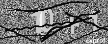 Captcha Kép