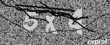 Captcha Kép